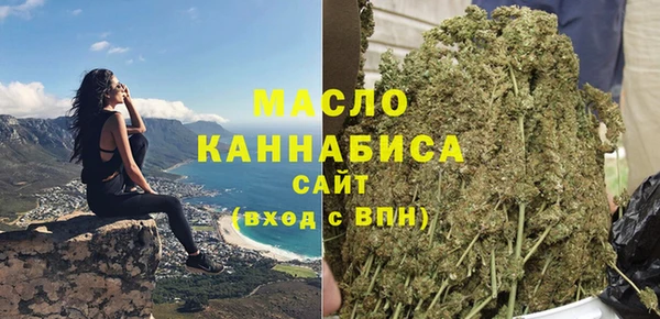 прущий лед Вяземский