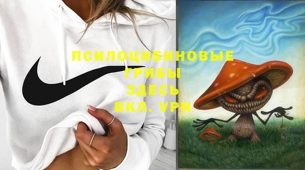 спиды Володарск